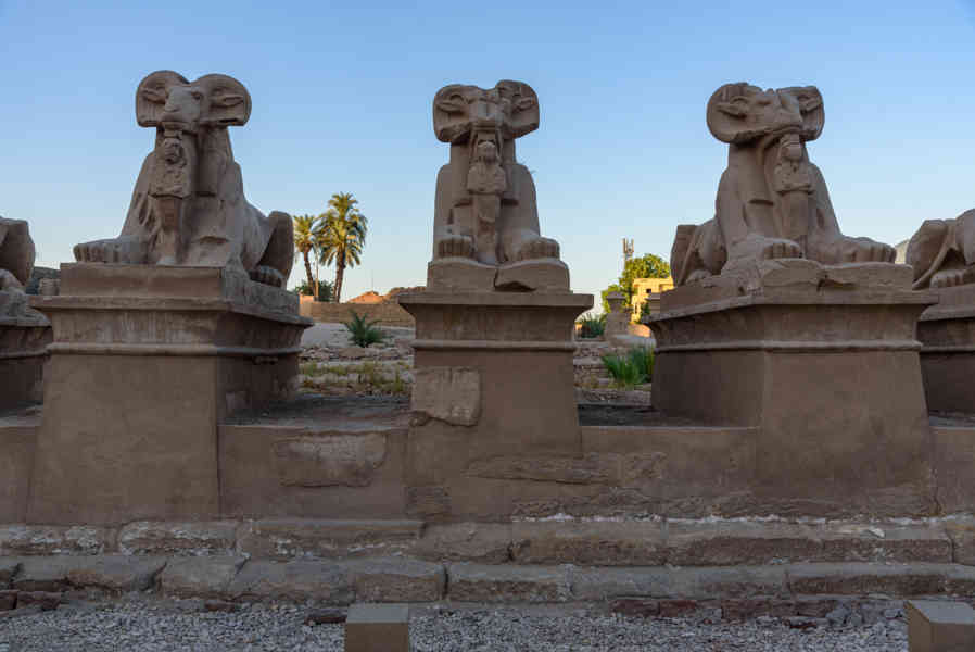 Egipto 040 - Luxor - Templo de Karnak - Avenida de Las Esfinges.jpg
